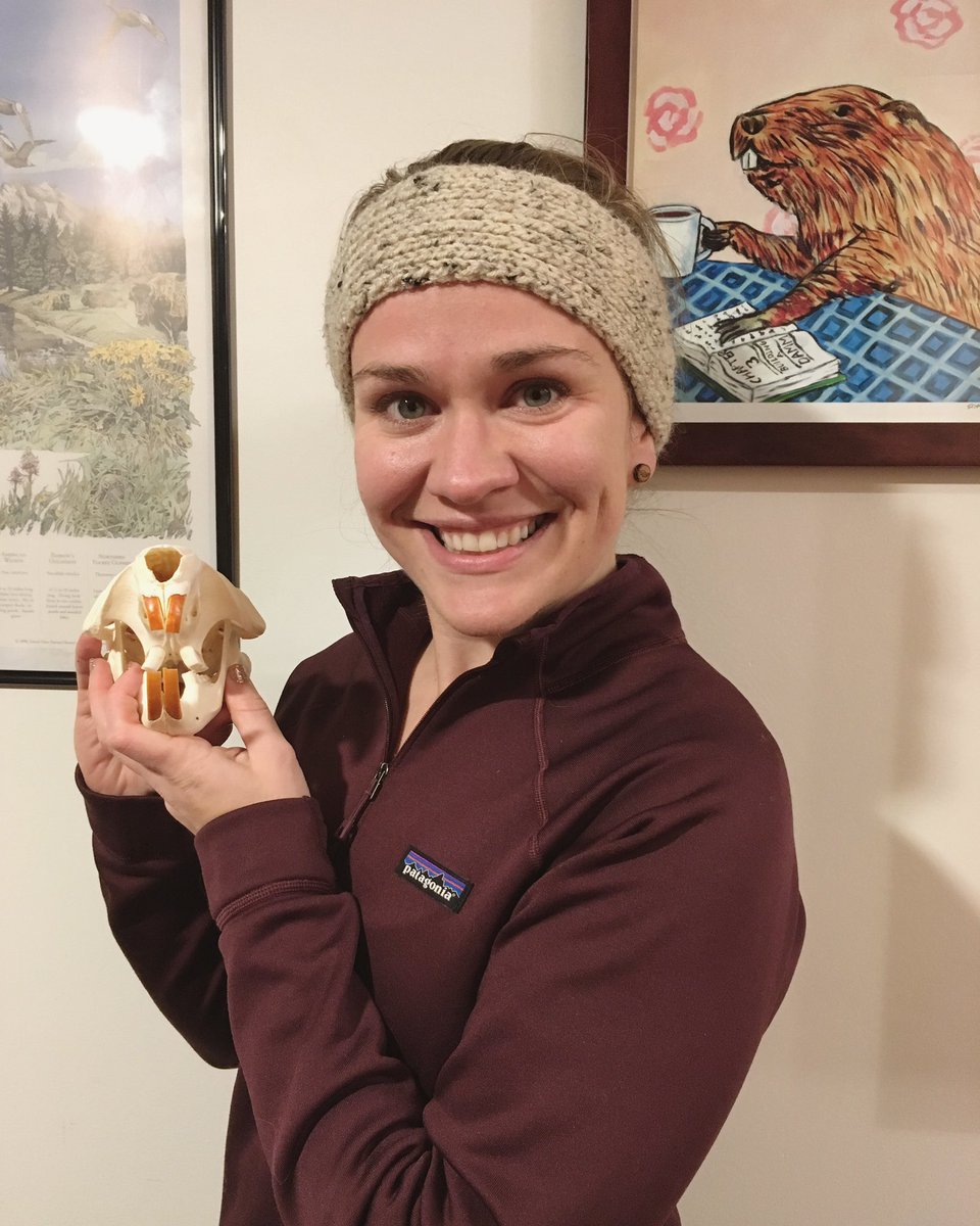 EmilyFairfax's tweet photo. It’s #InternationalBeaverDay!

Have a question about #beavers you’re not sure who to ask? 

Ask me! I study beavers &amp; love talking about them! And if I can’t answer your question, chances are I know someone who can and I will tag them! 

Let’s share some #dam knowledge. https://t.co/ipuNuBGGm8