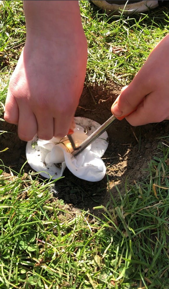BillinghamSth's tweet photo. Another day of fun in the garden with forest schools @ScoutedSam @ScoutedChris https://t.co/DPnbdV1qDj