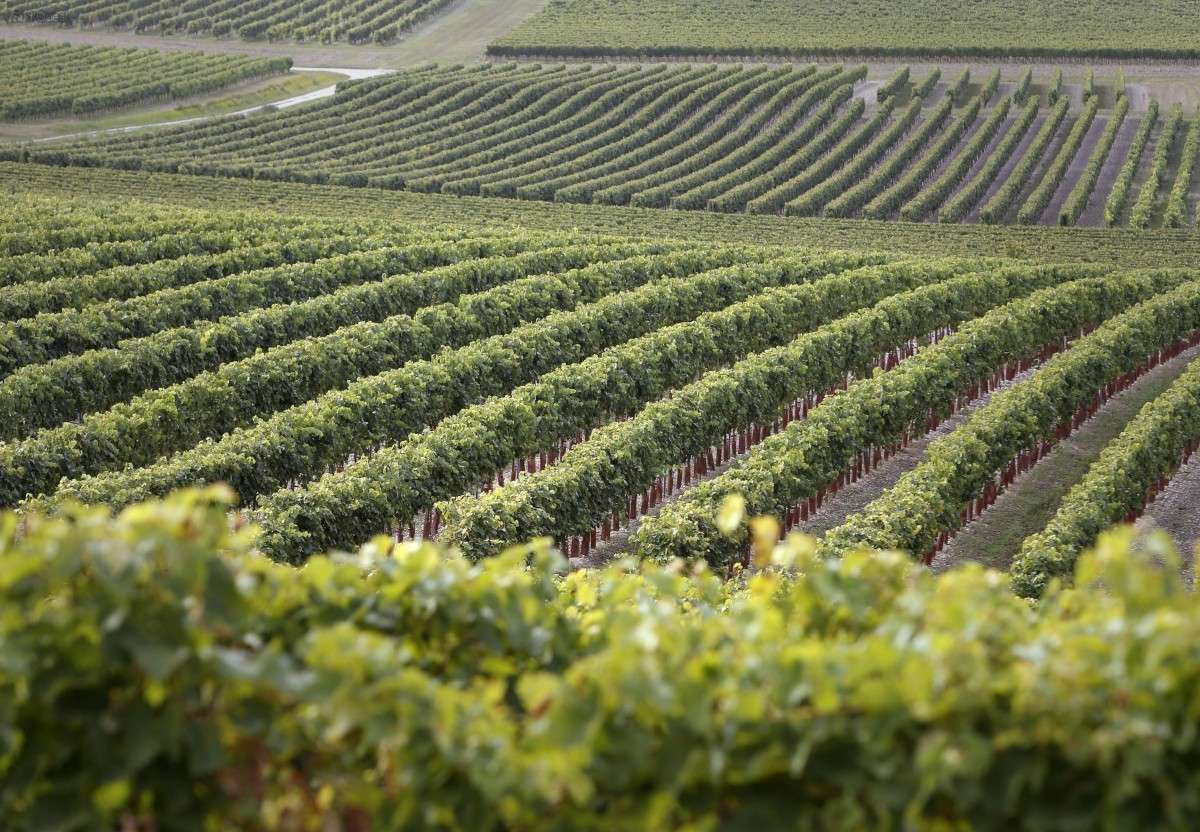 Coronavirus : la filière viticole donne 400 000 € pour les hôpitaux des deux Charentes <a href="/SO_LaRochelle/">SO_LaRochelle</a> 
sudouest.fr/2020/04/07/cor…