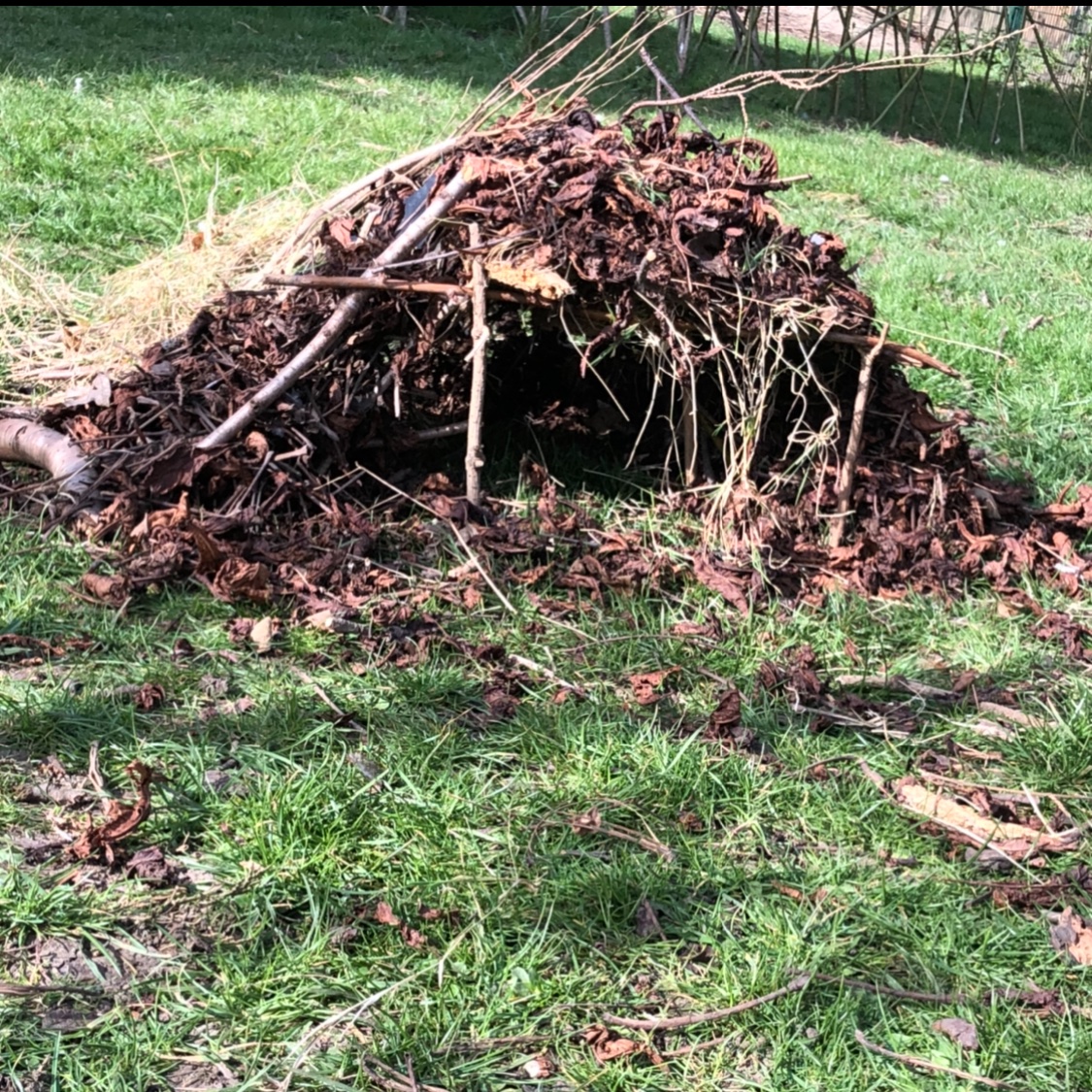 BillinghamSth's tweet photo. Another day of fun in the garden with forest schools @ScoutedSam @ScoutedChris https://t.co/DPnbdV1qDj