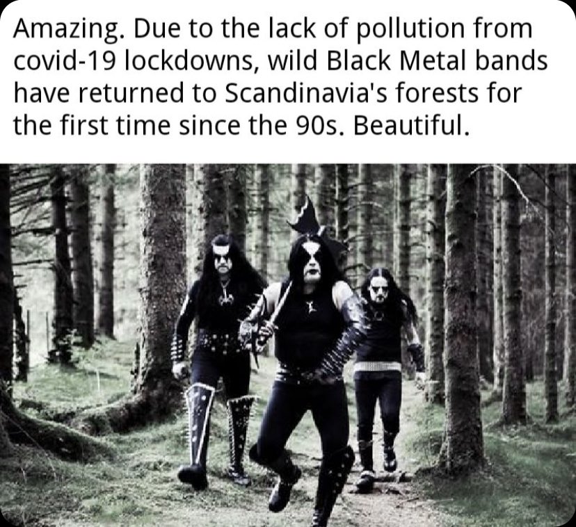 Black Metal Appreciator ™️ (@blashyrkhmrd) on Twitter photo 