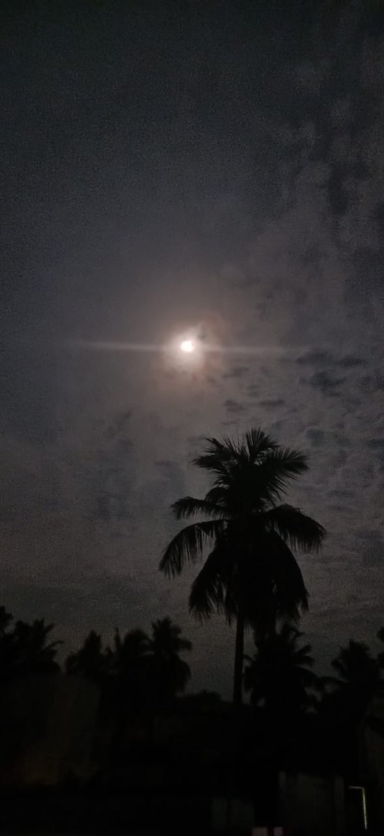 itsvinosiaa's tweet photo. #Biggmoon ❣️ #2020 https://t.co/mHmxvAjtwy