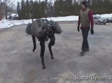 dawnathello's tweet photo. Still haven’t received my mail from ⁦ ⁦@DWowzers⁩ and his horse robot. Becoming increasingly concerned that the horse robot is off trying to take over the world. #haveyouseenthishorse #whatnightmaresaremadeof https://t.co/6nlmlTaKP5