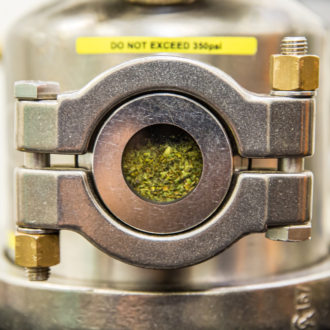 Shift Cannabis tweet media