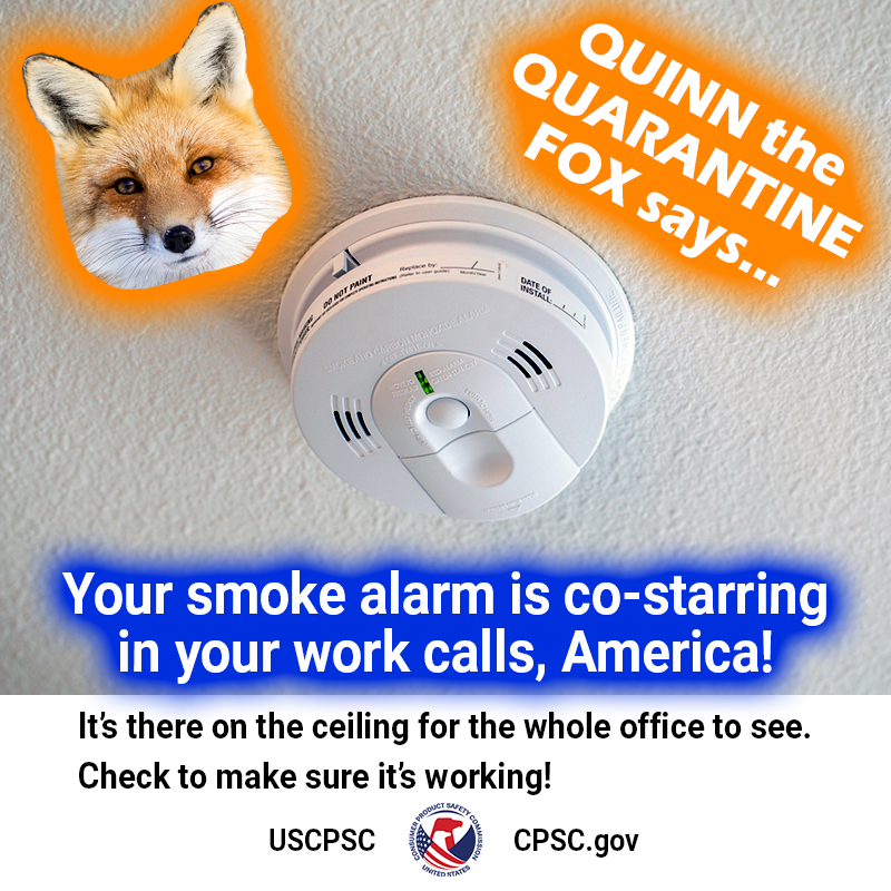 A fox named quinn the quarantine fox next to a smoke alarm. the text reads: Quinn the quarantine fox says, your smoke alarm is co-starring in your work calls, America! It's there on the ceiling for the whole office to see. Check to make sure it's working.