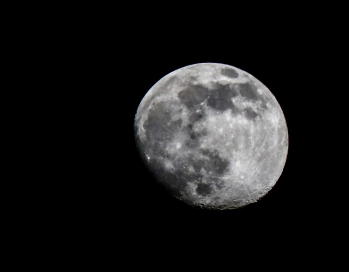 HeidiInTransit's tweet photo. Almost full! I think it's a full moon tonight but I was out for #MyDailyWalk at night over the weekend #LifeInLockdown #gibbousmoon #lunarphases #MyLondon https://t.co/VxELwu76Mm