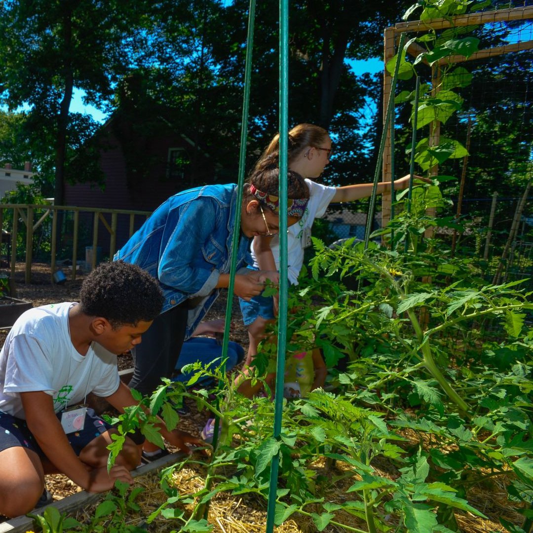 scnjrmg's tweet photo. As many gardeners likely already know, gardening is the perfect relaxing activity during the coronavirus pandemic 🌻

To learn more:
https://t.co/M9EsBnmsbw

#rmg #rutgers #plants #nature #instagarden #green #gardens #gardening #planting #home #landscaping #flowers #flower https://t.co/uyBe6a9UaW