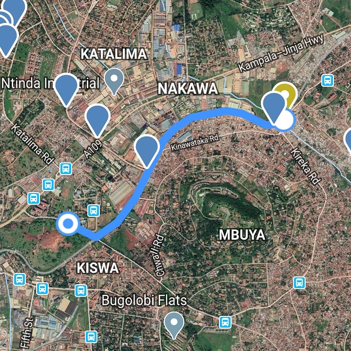onongo_jonathan's tweet photo. I recorded 15 bird species in 34 minutes over a distance of 2.87km as I walked on my way to the supermarket today. #COVID19UG #STAYSAFEUG #lockdowneffect https://t.co/4gD4Z8VIrD