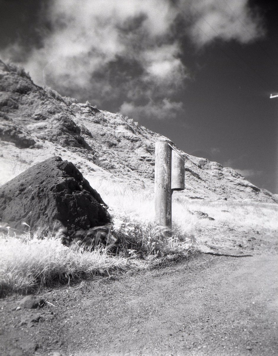 3eyedmonster's tweet photo. Escape #infrared #holga #ilfordsfx200 #r72filter #believeinfilm https://t.co/i5kO7RDNf1