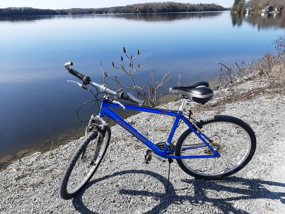 MissB_Polson's tweet photo. Distance Learning Day #2 - Remember to take a break and to get outside and enjoy some fresh air and sunshine! #socialdistancing #exerciseisimportant https://t.co/OeuxCA7niz