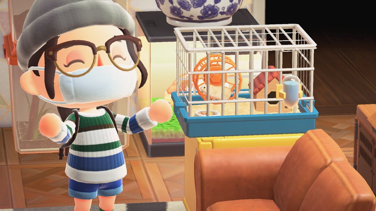 TweetySyd's tweet photo. Hamster hours!!!   #AnimalCrossing #ACNH #NintendoSwitch https://t.co/SYu2ihRPst
