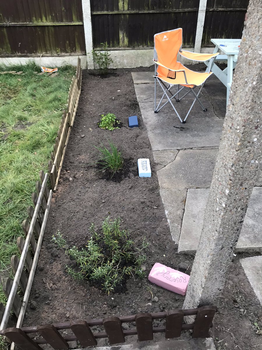 corbin023's tweet photo. @Y4Say No peas unfortunately but plenty of gardening! 👍🏽💪🏽 https://t.co/kXjhtxxPU4