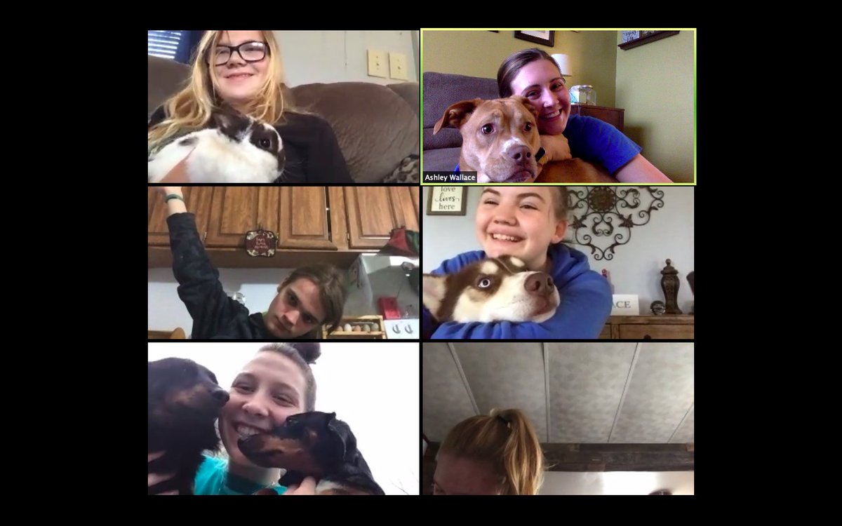 MissWallaceBio's tweet photo. First "Coffee with Miss Wallace" meeting this morning turned into a show off your pets meeting. Loved getting to just have conversation with my students 🥰 https://t.co/5eBk0Lx3ol