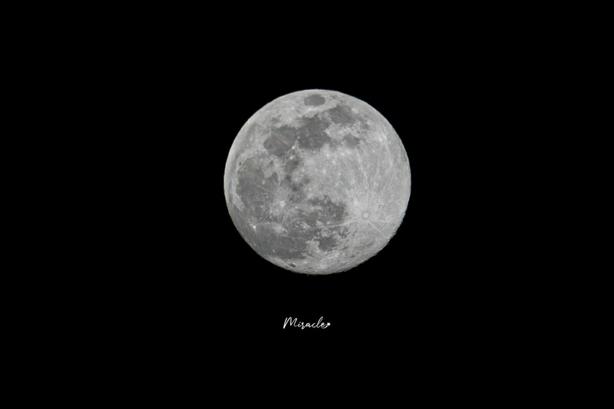 미라클.In My Heart tweet media
