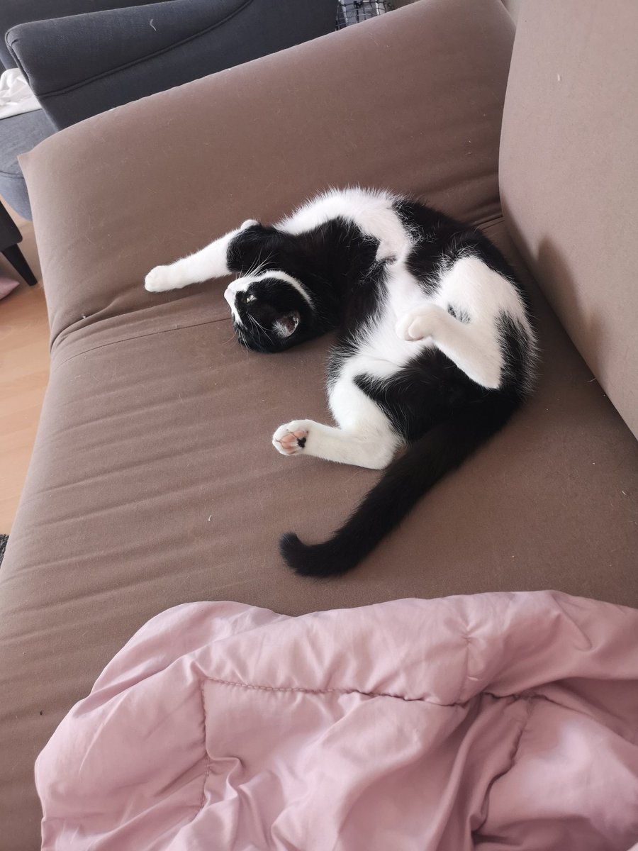 nika 🌙 tweet media