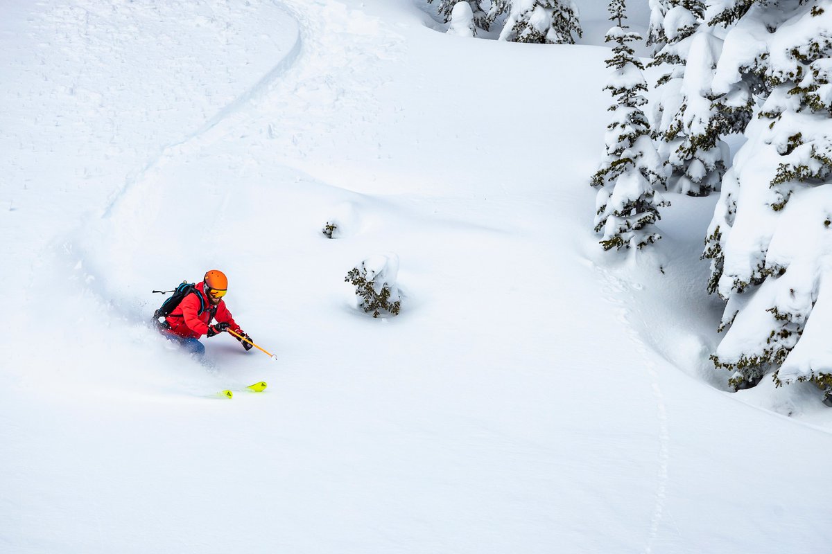 CameronRossHall's tweet photo. Whilst the ski season may be over for another year, what a phenomenal winter it was. Here's a few more highlights from an all time, powder filled two months in #Revelstoke. Incredible #skiing conditions both in resort & in the backcountry #ReliveREVY #TheRealStoke #Revelstoked https://t.co/N4tR5CYk5I
