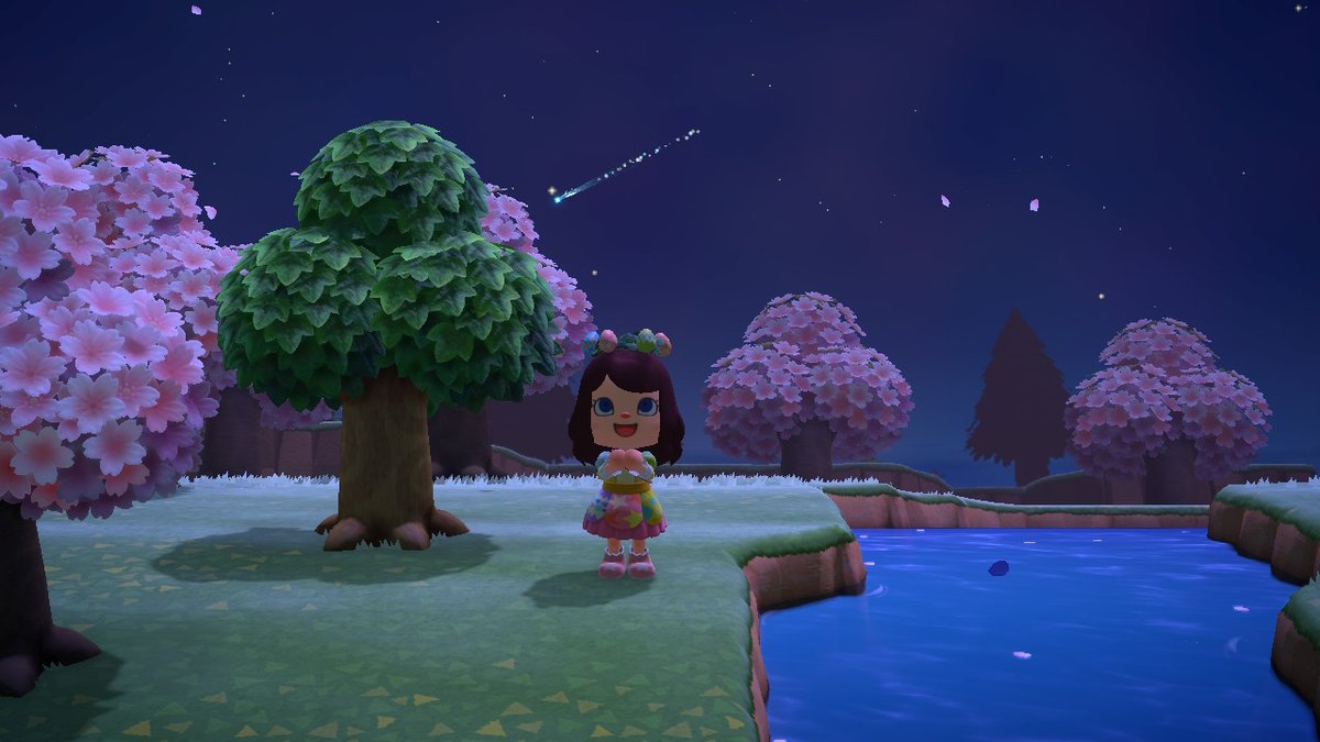 sapirlapid's tweet photo. #AnimalCrossing #ACNH #NintendoSwitch https://t.co/v6573iysT8
