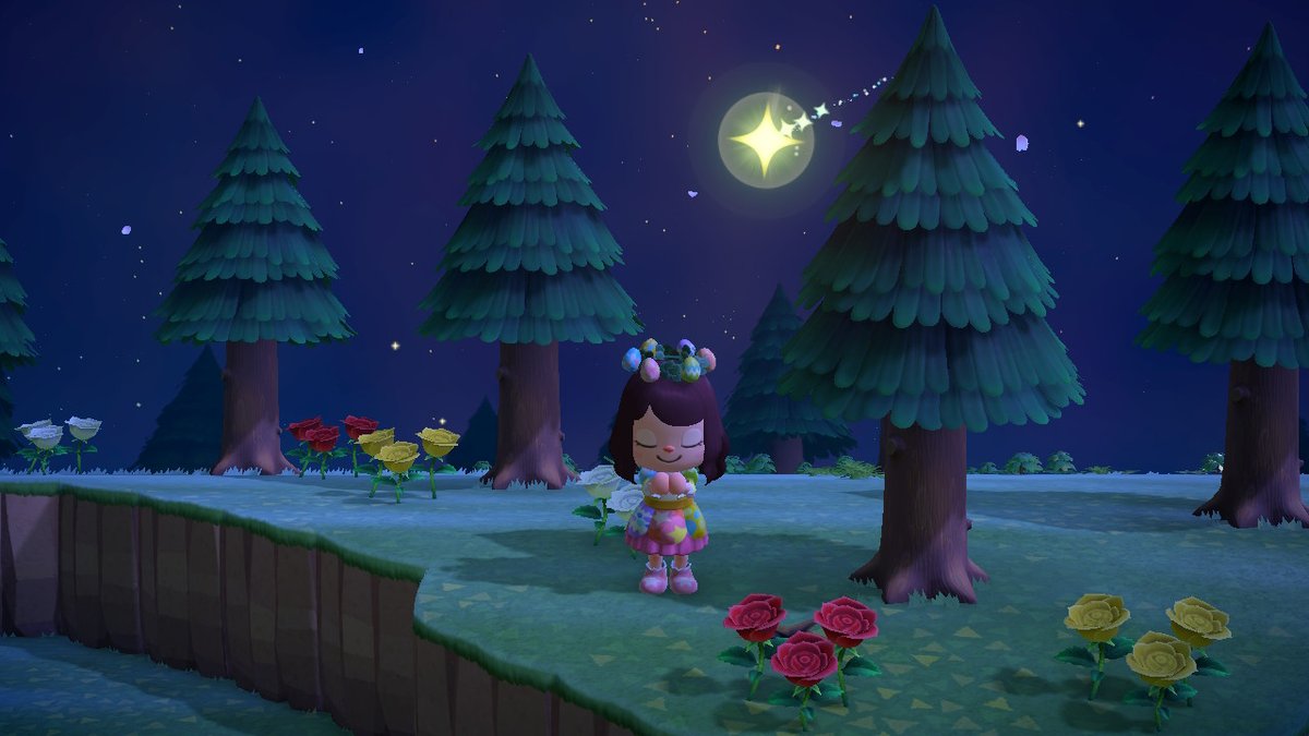 sapirlapid's tweet photo. #AnimalCrossing #ACNH #NintendoSwitch https://t.co/v6573iysT8