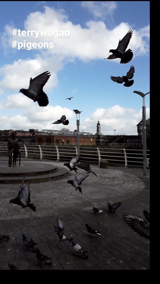 memoryofwatereu's tweet image. #Limerick based artist @maryconroyart is taking us on her daily walk along the river for our Instagram stories &amp;amp; posts this week @memoryofwatereu #artisttakeover #creativeeuropeathome #rivercities #ireland🍀
