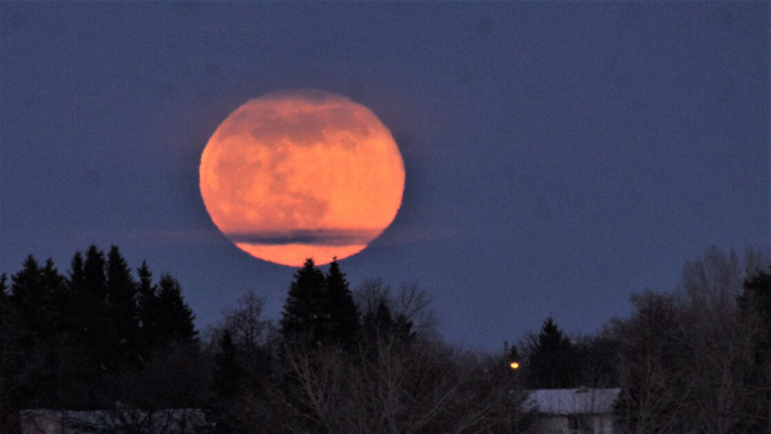 ScottWx_TWN's tweet photo. Tonight's "Full Pink Moon" is the biggest, brightest supermoon of the year
https://t.co/MjK9jfRoxg
#SuperPinkMoon #Supermoon #PerigeeMoon #astronomy #NightSky https://t.co/VrtMksSLWr