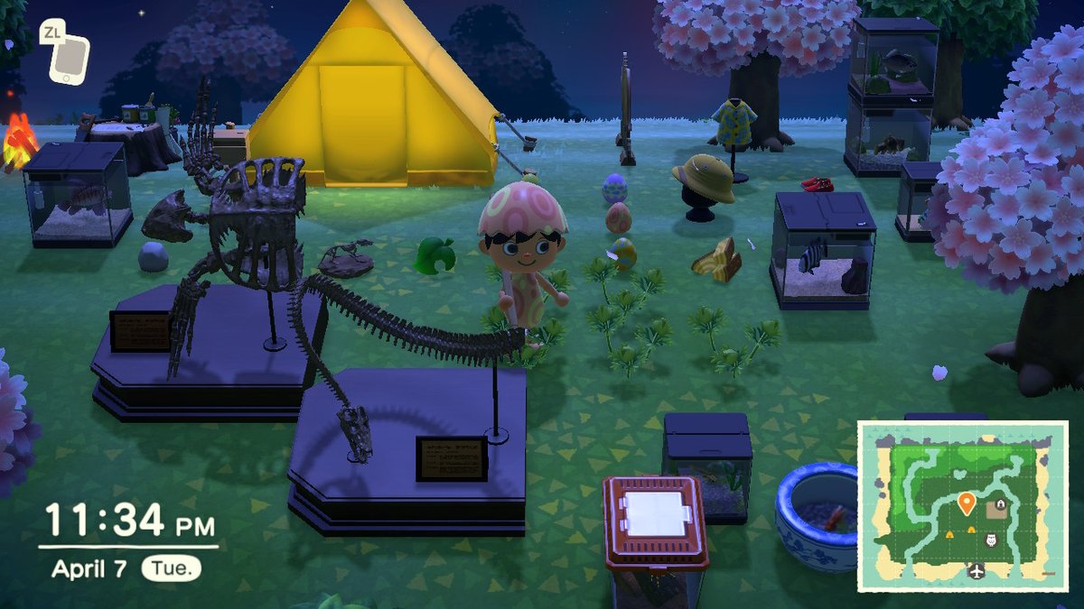 PatchanonK's tweet photo. #AnimalCrossing #ACNH #NintendoSwitch https://t.co/JsTIJ84dCx