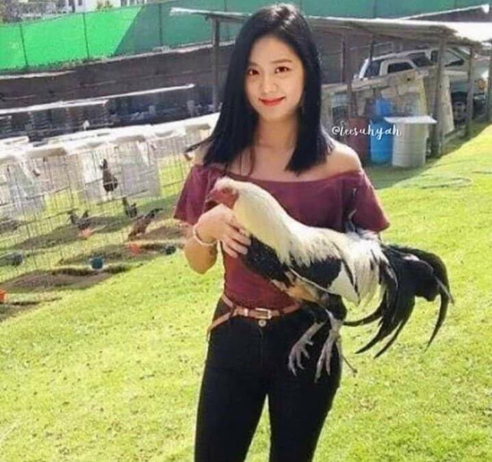 yadommmmmmm's tweet photo. Sige kumpletuhin ko na 
@ygofficialblink https://t.co/h3o9eCZdJ3