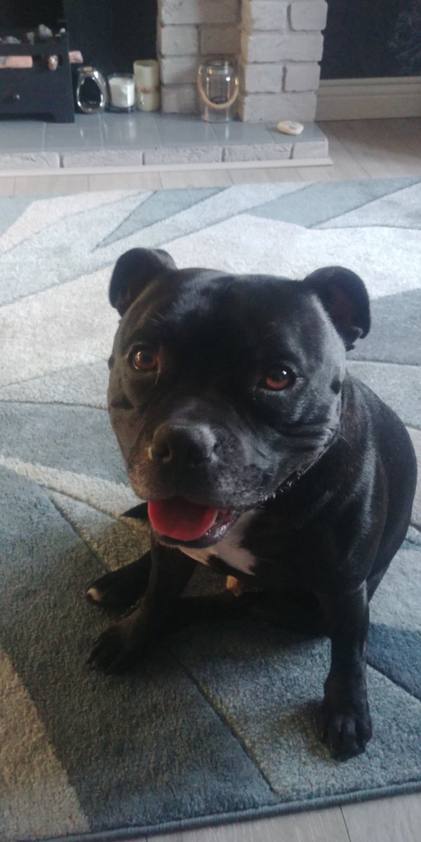 MarcButler81's tweet photo. @LeeRiley75 Right back at you Luke! Stay safe bud 🙏😃 #TongueOutTuesday https://t.co/ywjMeUTsr5