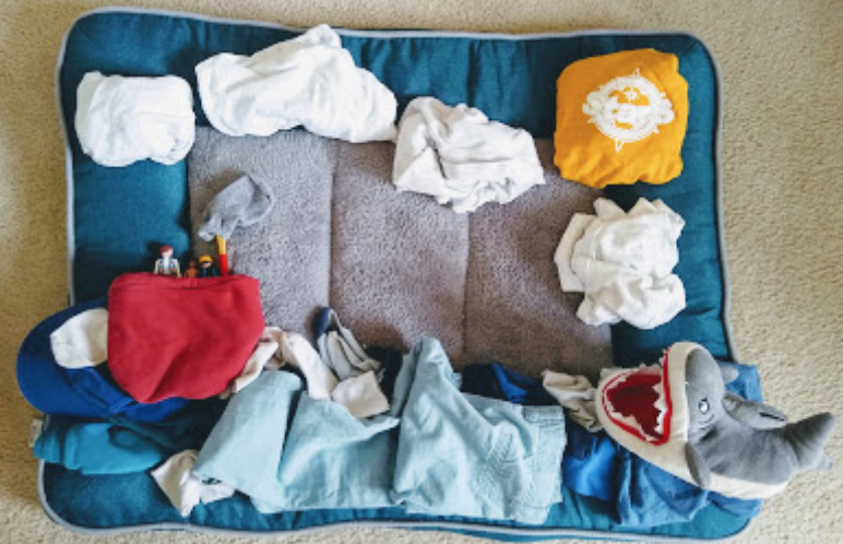 Jane Rothery tweet media