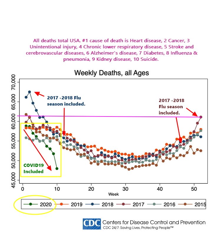 Here is a look at all deaths in the US.It shows that even when including deaths from coronavirus, the overall death numbers are down drastically.My theory is that work/stress added to a lot of people’s existing conditions and because many arent going to work they arent dying.