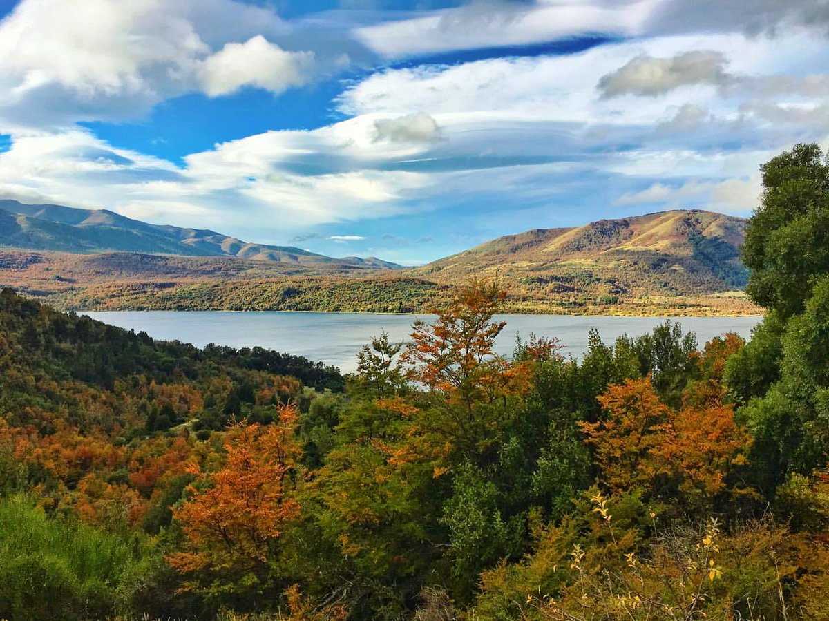 #BuenMartes twitter🧉
#LagoLacar #SanMartinDeLosAndes #Neuquen
Paseamos desde casa 💻📱
#fitomellao Pronto empiezan los colores🍂
Patagonia que enamora siempre🧡
#QuedateEnCasa #cuarentena 
#CuidarteEsCuidarnos