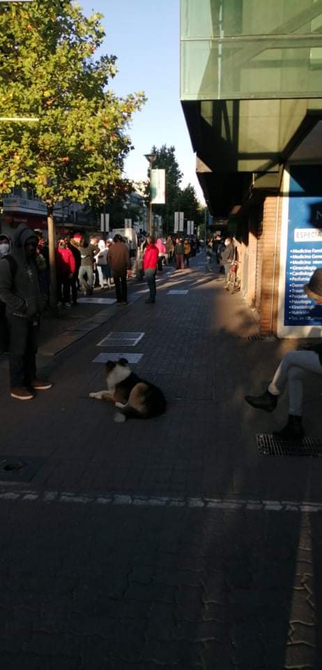 Amigopenquista's tweet image. #APInforma #AHORA #CONCEPCION
Más de DOS CUADRAS tiene la fila para ingresar a la AFC en Concepción, gente incluso llegó de MADRUGADA para obtener una mejor ubicación