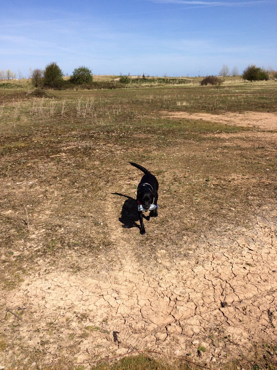TalesTilly's tweet photo. Lovely quiet walk in the sunshine ☀️ @YsgolEmmanuel https://t.co/GBRr4sLBz3