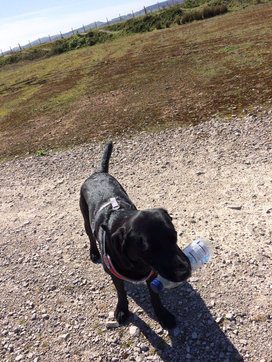TalesTilly's tweet photo. Lovely quiet walk in the sunshine ☀️ @YsgolEmmanuel https://t.co/GBRr4sLBz3