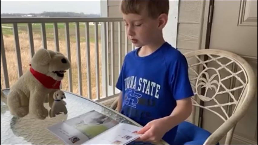 MaryRuthBooks's tweet photo. Knock, knock.
Who's there?
Parker...and he's reading Danny and Norman's Favorite Knock Knock Jokes to Danny and Puppy Norman!
#readwithafriend #readtoafriend #maryruthbooks https://t.co/OZUKLxAVMx