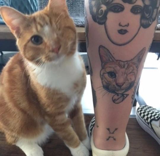tattoocullture's tweet photo. https://t.co/UmoOqmlij1