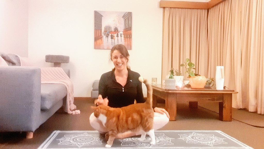 KathrynLAllan's tweet photo. Every time I sit to do yoga, Harry thinks it is a good time for a pat! #PetsofANU #selfice #lockdownlife https://t.co/DanfzM2Xze