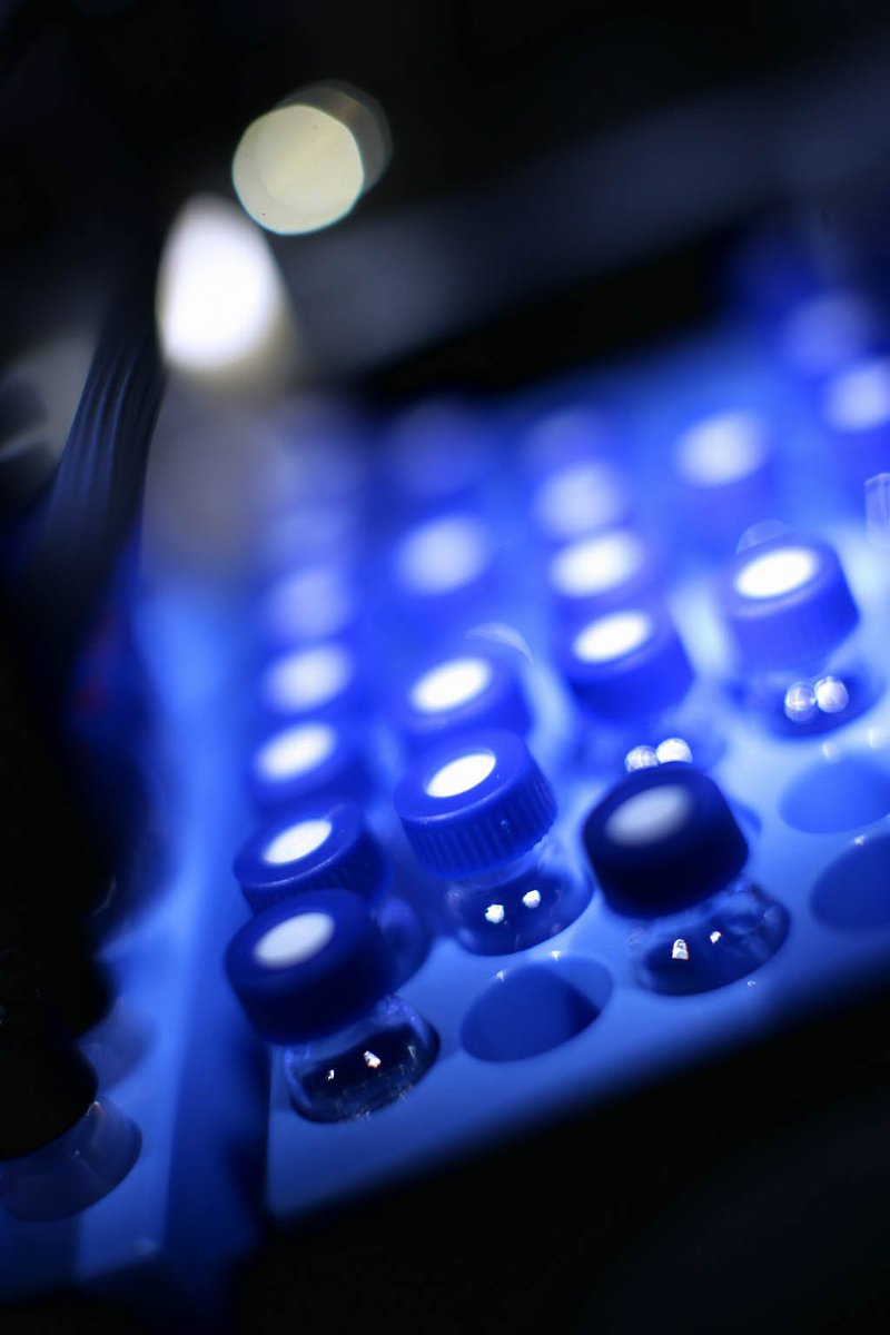 ExpreS2ionB's tweet photo. The #ExpreS2 system enables your VLP/ recombinant #antigen #expression & process development. Contact info@expreS2ionbio.com #biotech #drosophila #S2 #vaccines #vaccineswork #complexproteins #zika #malaria #dengue #hpv #her2 #hiv #tlr7 #tlr8 #tlr4 #human #research #mhc2 https://t.co/plBydC5l06