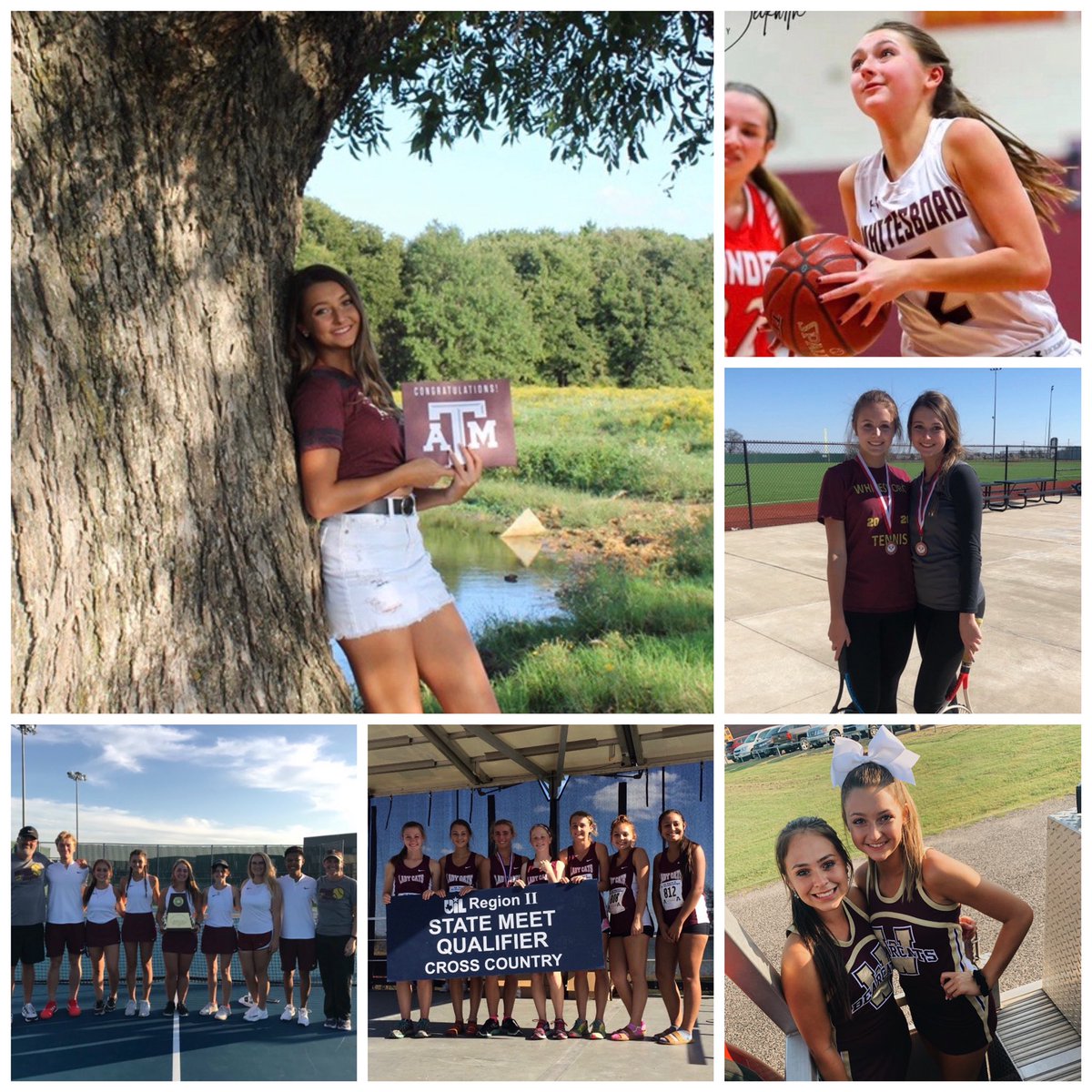 Shannon Banks (ShannonBanks68) Twitter