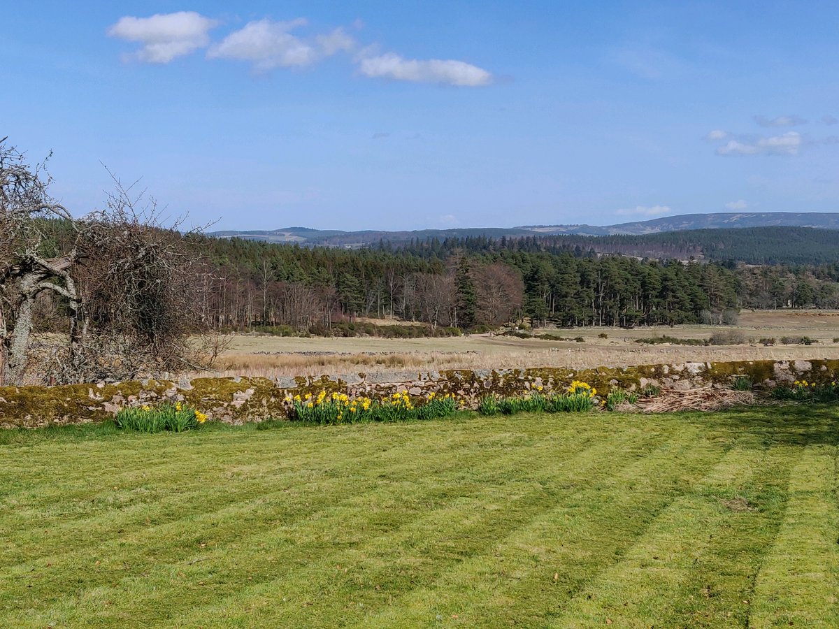 BallogieWeather's tweet photo. It's Spring - first cut on the grass @BBCScotWeather https://t.co/jwtnbYjY4I