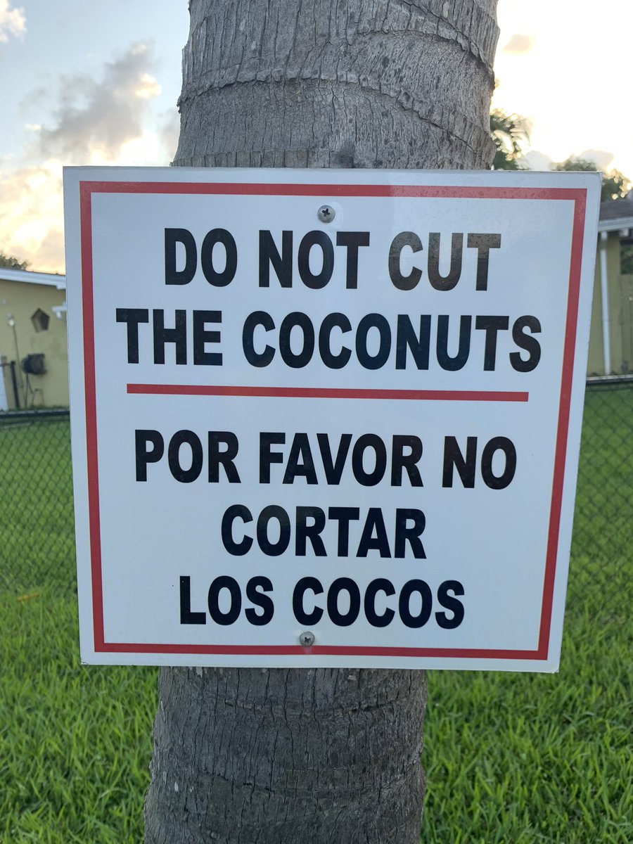 8) DO NOT CUT THE COCONUTS, PEOPLE.