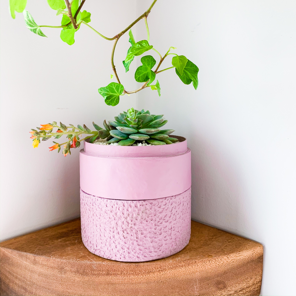 wanderpotsocial's tweet photo. Better than flowers. A gorgeous plant that will last a lifetime. Just find it a nice shelf ππ
#WanderPot #PlantGifts #CorporateGifts #RamadanGift #RamadanDecorations #Ramadan2020 #LoveDubai #StayHomeDubai #DubaiInteriors #DubaiLifestyle #MadeInDubai #GreenDubai https://t.co/JlYt5WXoc3