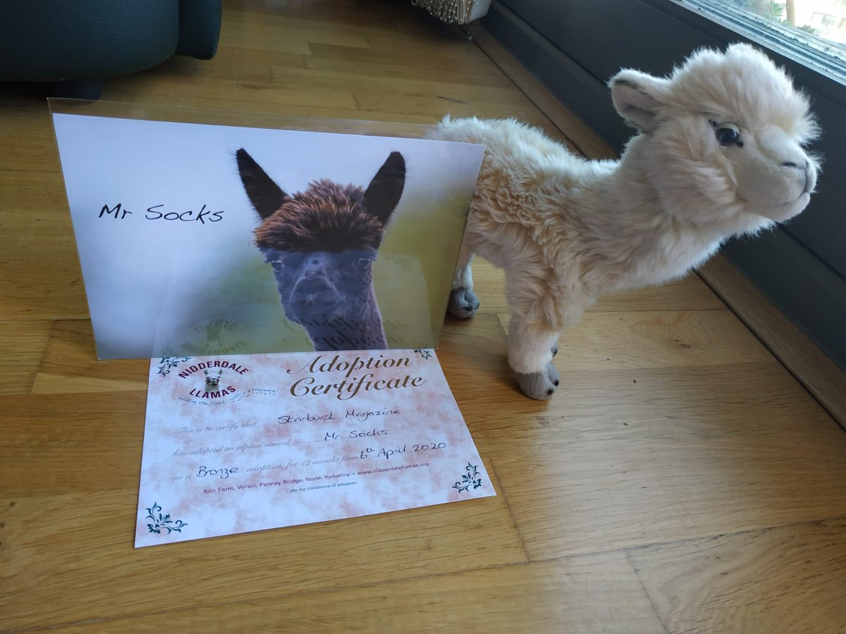 STARBURST_MAG's tweet image. Richard Stanley's amazing Color Out of Space is out now on DVD/Blu-ray and we've just adopted the lovely Mr Socks the alpaca! #coloroutofspace