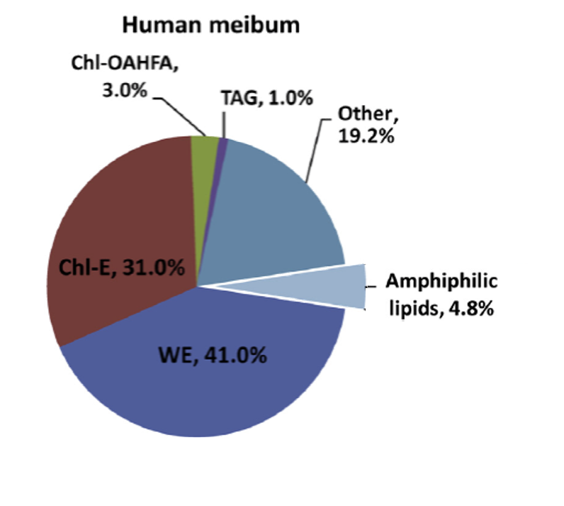 Firstly, the lipids found in meibum are predominately neutral, nonpolar classes, including things such as wax esters, cholesteryl esters and triacylglycerol.  http://www.sciencedirect.com/science/article/pii/S0014483513001292