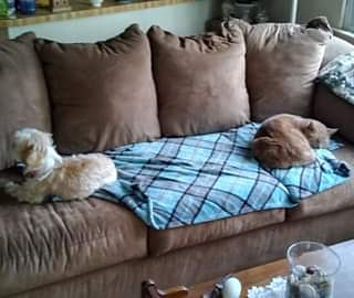 JeffGravatt's tweet photo. Social distancing: Jodee and Albert https://t.co/yHbSWeE0lo
