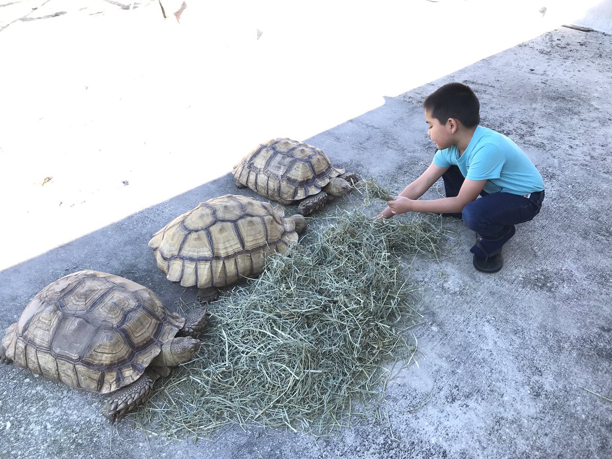 MariaAlfaroMD's tweet photo. @NeuroDrugDoc Our 3 dinosaurs https://t.co/CYH85FLedA