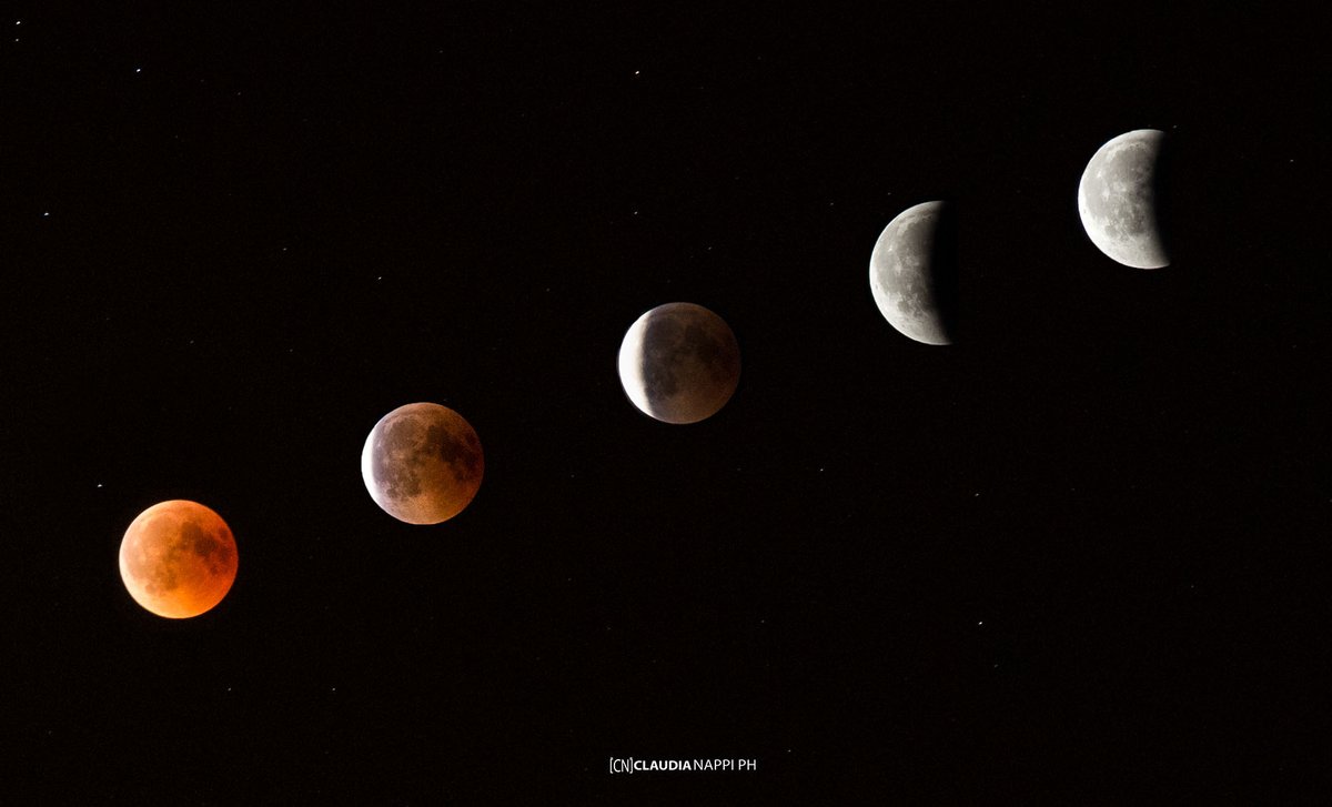 Se anche tu vedi la stessa luna non siamo poi così lontani. 🌙
#cb
#ECLIPSAR
<a href="/CanonItaliaSpA/">Canon Italia</a>
<a href="/CanonBusinessIT/">Canon Italia B2B</a>
#eclipse #eclisse #version #red #moon #photograph #sky #photography #astronomia #astronomy #skyphoto #star #instaphoto #passion #escape #world #nature #bigmoon