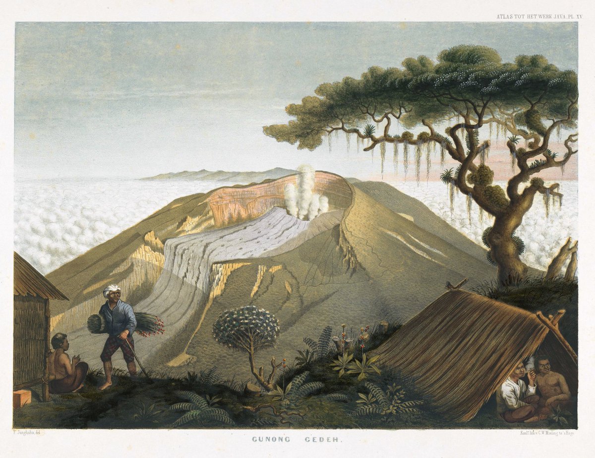 potretlawas's tweet image. Kawah dan puncak gunung² di sekitar tanah Priangan: Guntur, Patuha, Gede.
Litografi karya F.W. Junghuhn dalam seri Atlas tot het werk Java. Cetakan C.W. Mieling, 1854.
