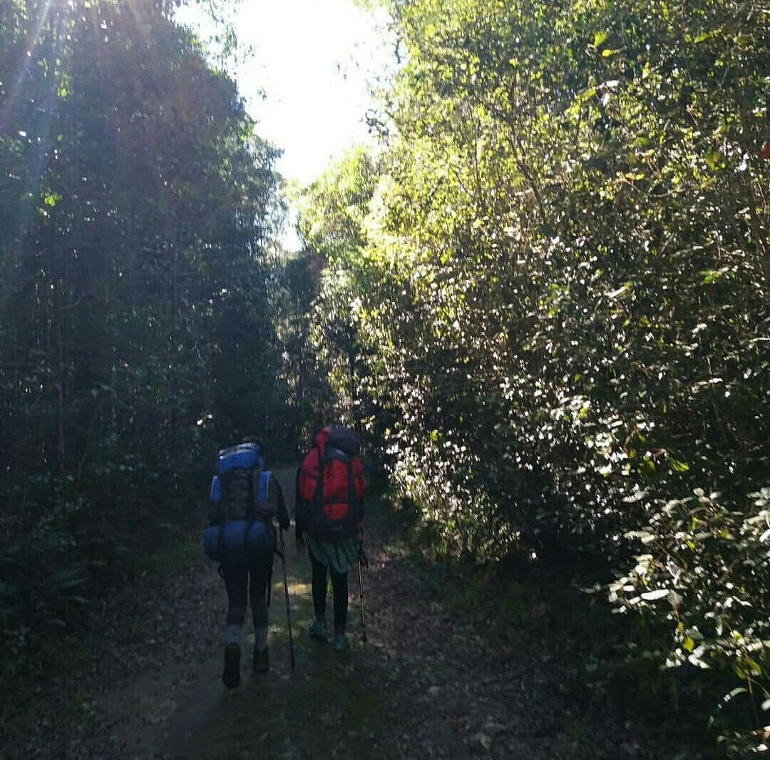 The other days were just a breeze, not as eventful, we enjoyed the scenery. However, don& #39;t be fooled the hike was no joke. It was the toughest I have ever embarked on. I respect this trail, I need a few years to recover before I can even think about going back for a 3 day one...