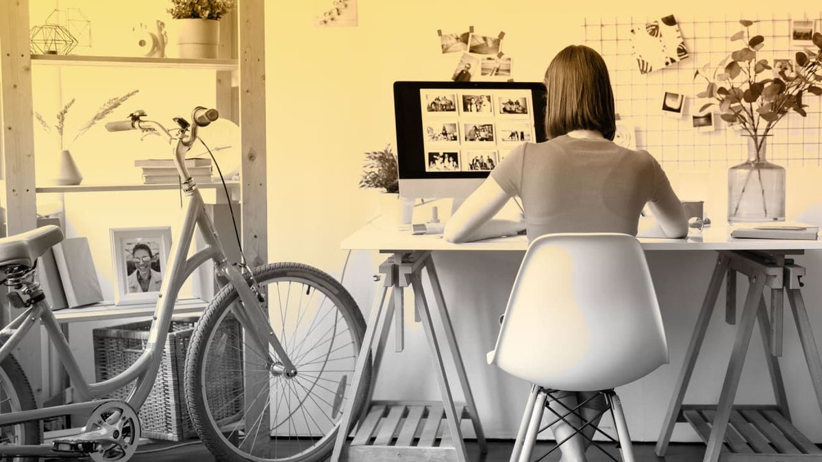 career_spark tweet picture