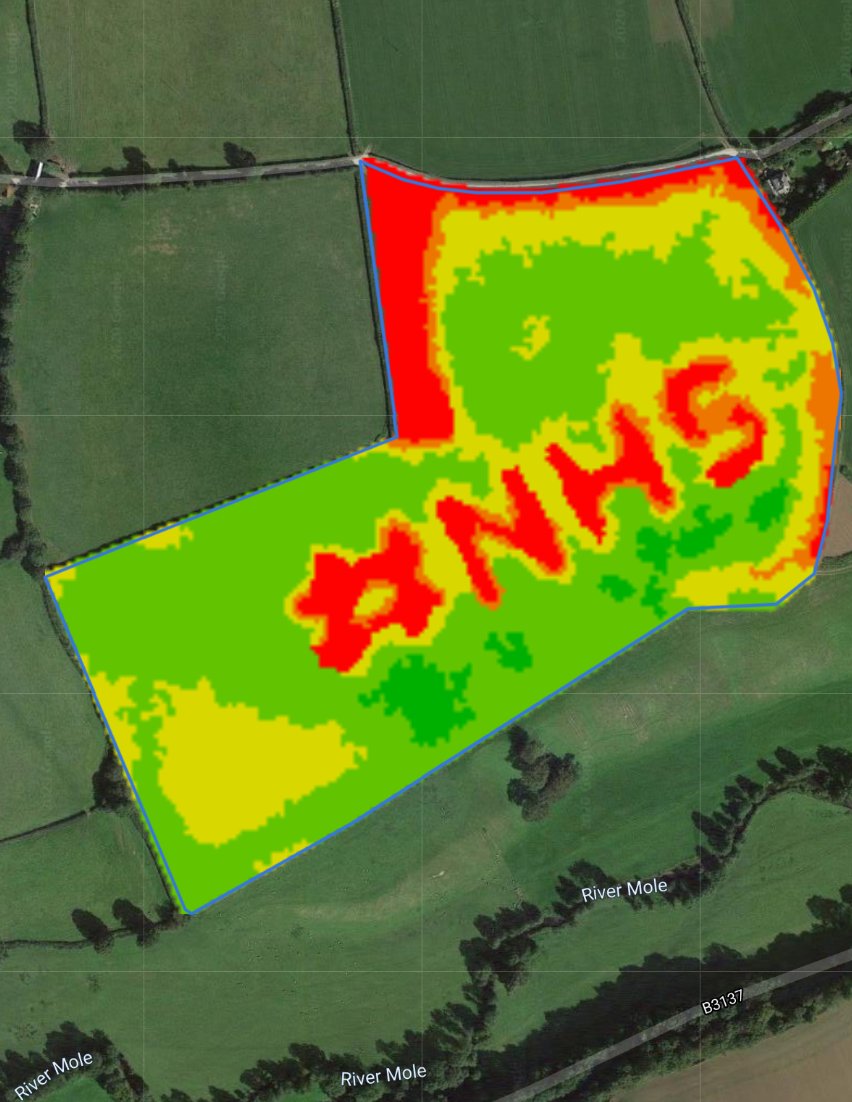 RHIZA Digital tweet media